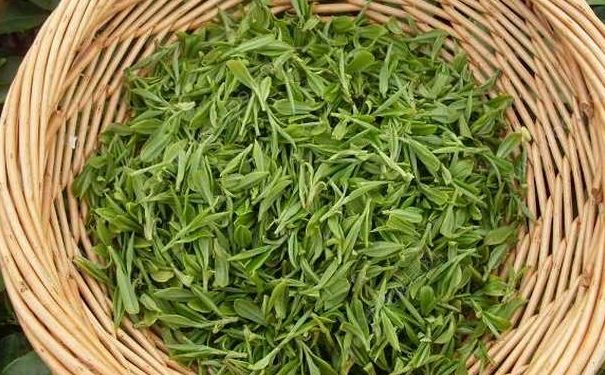 茶葉應(yīng)該怎么保存好？茶葉有什么好處？(4)