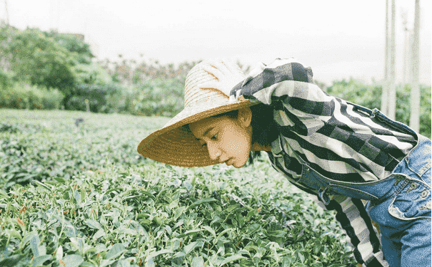 瑜伽減肥操減肥效果好嗎？瑜伽減肥操怎么做？(1)