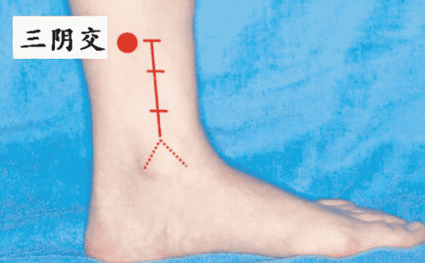 三陰交穴位在身體哪個部位？女性按摩三陰交有什么好處？(1)