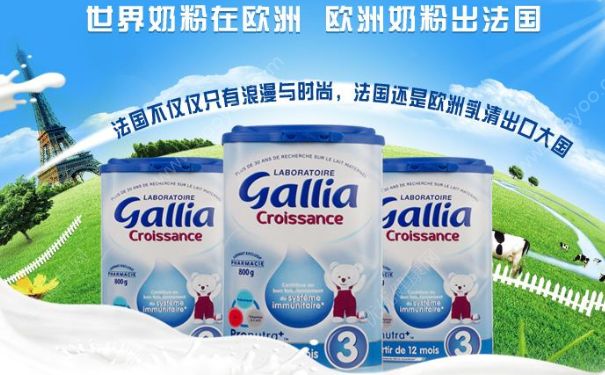 法國Gallia奶粉好不好？法國Gallia奶粉怎么樣？(1)