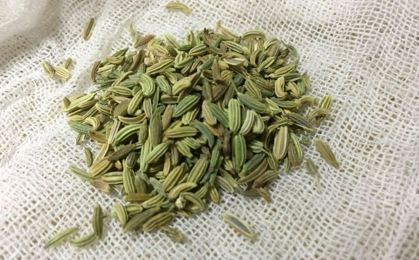 小茴香有什么作用？小茴香的作用和功效(1)