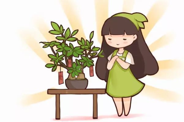 20種花草的風(fēng)水意義，讓你財(cái)源廣進(jìn)！