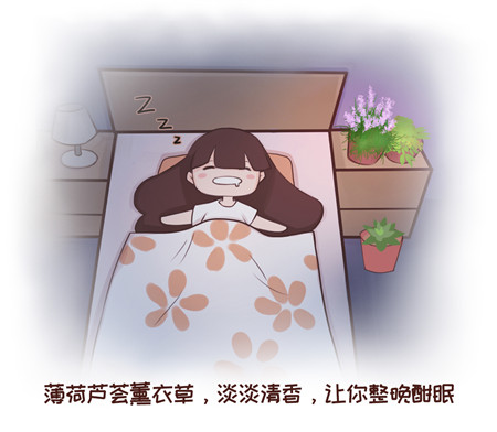 養(yǎng)花睡得好