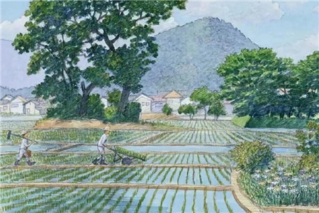 種豆南山，東籬采菊