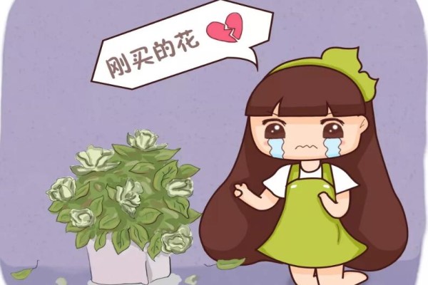 入秋別買這5種花，回家3天花苞全掉，再便宜都虧!