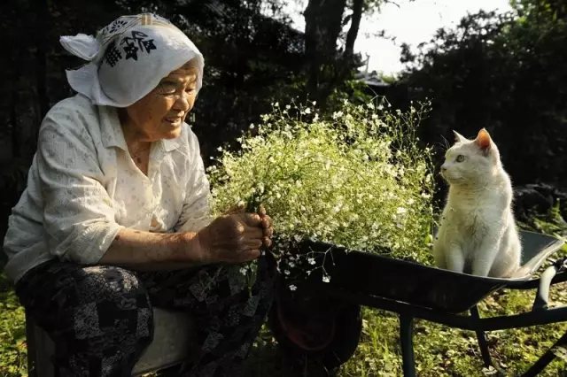 奶奶采來了一把滿天星， 她開心的像個少女。 在夕陽下，我們靜靜對坐， 就像心意相通的老友。