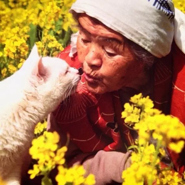 一起去看看， 今年油菜花開的怎么樣。