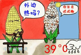 近40℃高溫，花再不管，就只剩盆了！