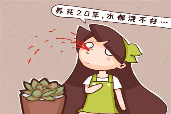 養(yǎng)花20年，水都澆不好，怪不得養(yǎng)一盆死一盆！