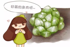 5月不養(yǎng)多肉？后悔去吧