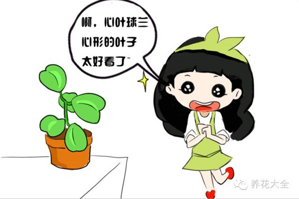 這花就算永遠(yuǎn)不開花，我也想養(yǎng)一萬年