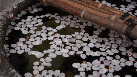 梨花院落溶溶月，柳絮池塘淡淡風(fēng)。