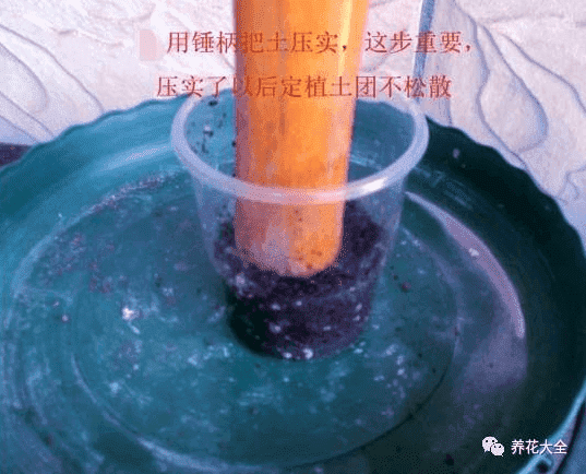 土壤拍實(shí)