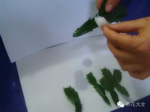 多菌靈