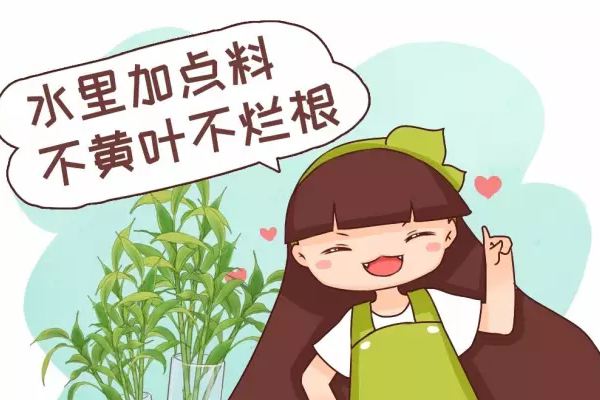 水里加點(diǎn)料，葉跟打了蠟似的，賊綠賊亮！