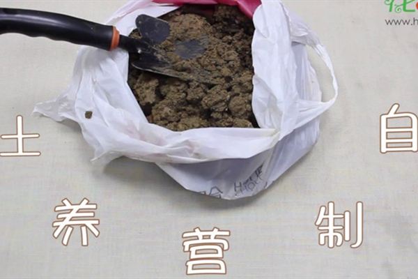 自制營養(yǎng)土視頻：這三種生活垃圾，可以制作營養(yǎng)土