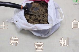 自制營(yíng)養(yǎng)土視頻：這三種生活垃圾，可以制作營(yíng)養(yǎng)土