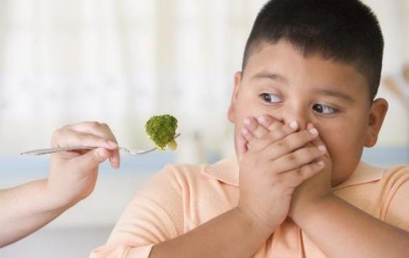 寶寶不愛吃飯總是追著喂可咋整 寶寶的開胃食譜推薦