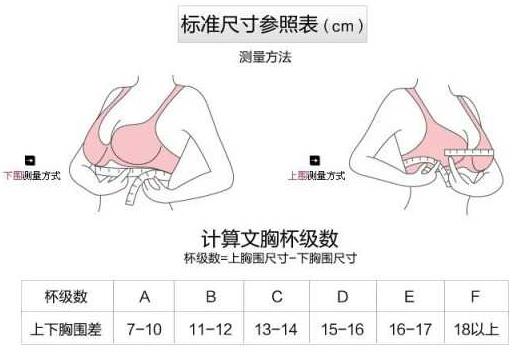 胸圍80c是多大？胸圍80c是多少厘米尺碼對照表？[多圖]