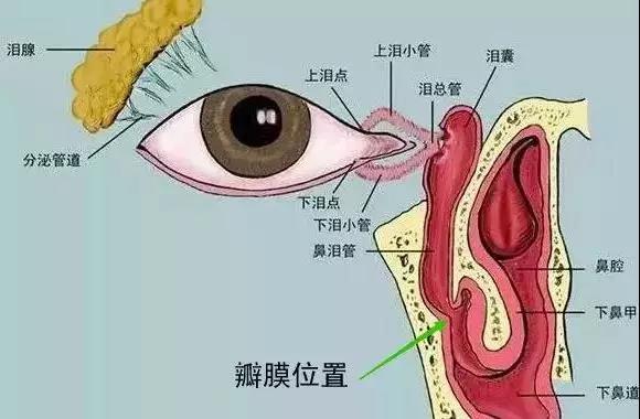 合肥愛爾眼科：什么是淚道疾??？如何預(yù)防