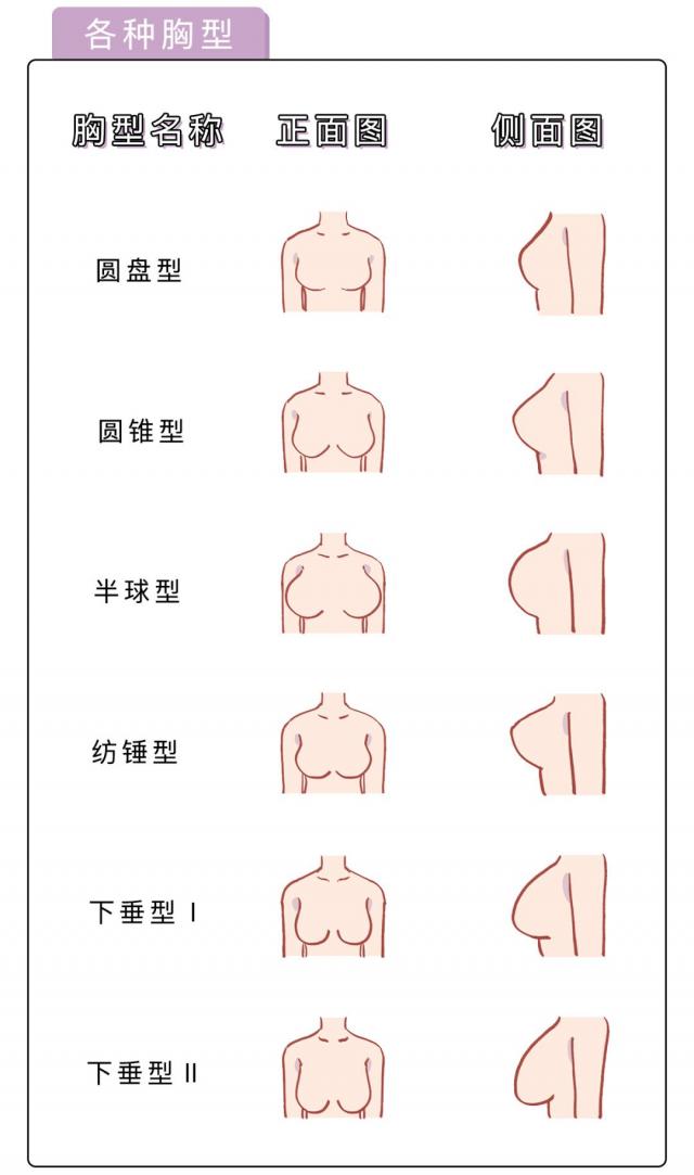 女人的乳房是什么樣的圖片？女性的胸部有哪些形狀？[多圖]