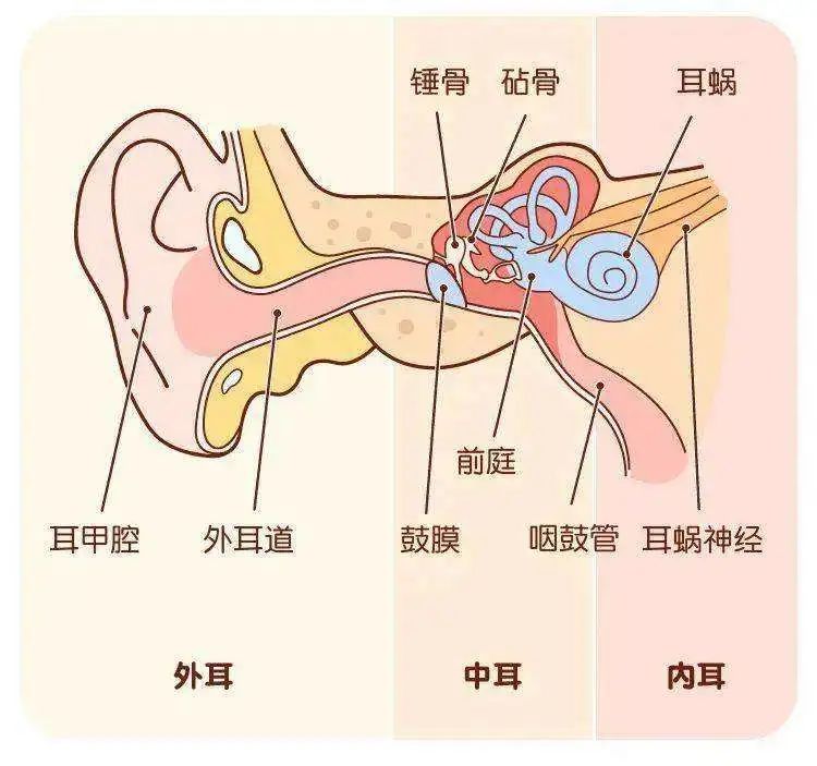 成都民生耳鼻喉醫(yī)院怎么樣 突發(fā)性耳聾能治好嗎 國(guó)家三級(jí)醫(yī)院