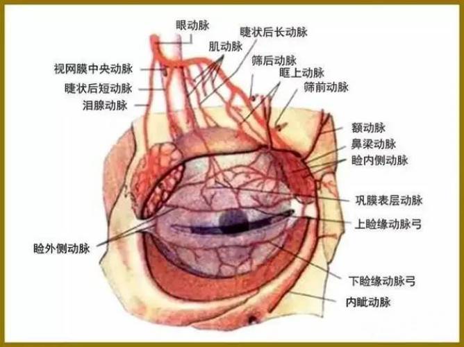 合肥吳氏佳美醫(yī)療美容整形專家吳應(yīng)凱 行業(yè)經(jīng)驗(yàn)豐富