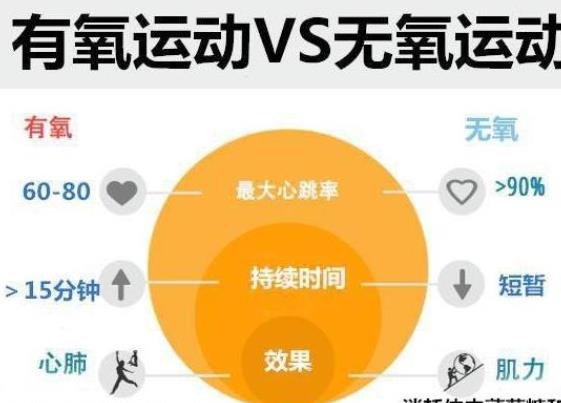 無氧運(yùn)動(dòng)有哪些項(xiàng)目 賽跑,深蹲,投擲,拔河,跳遠(yuǎn)等