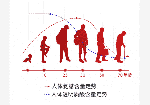 膝關節(jié)疼痛不怕，營養(yǎng)屋谷比利助你科學護膝