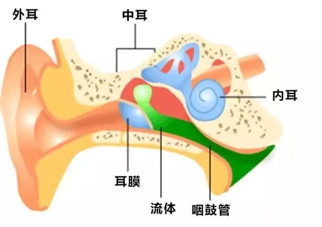 哪些原因可能導(dǎo)致中耳炎？中耳炎有哪些危害？武漢民生耳鼻喉醫(yī)院就耳鼻喉的話題在線解答