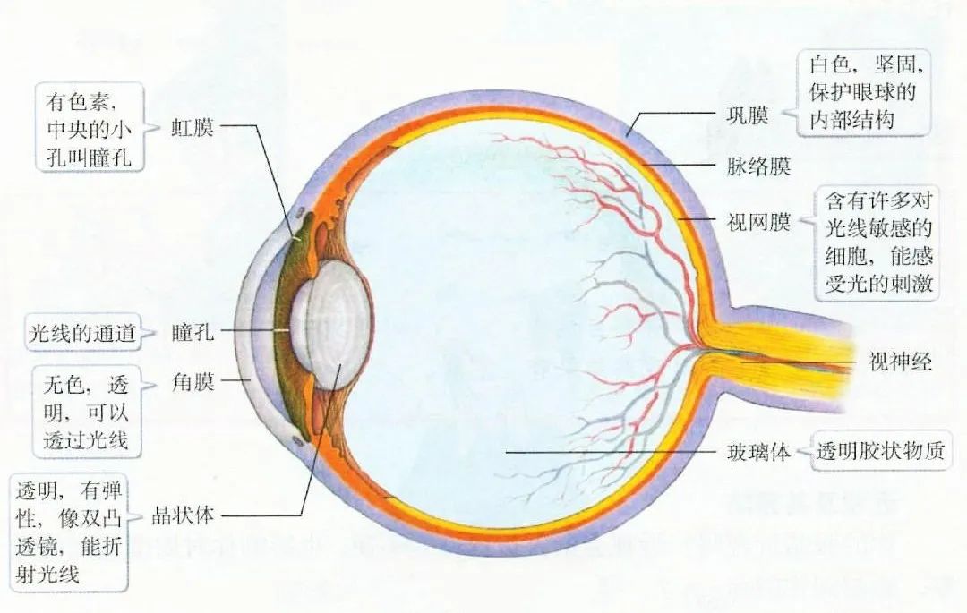 【合肥愛(ài)爾眼科】眼底病，看不見(jiàn)摸不著不熟悉且十分危險(xiǎn)！