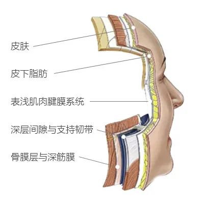 北京煤醫(yī)副主任醫(yī)師王馳：什么是TER時光定格術？