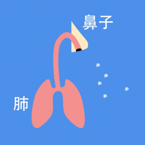 沈陽(yáng)燕都醫(yī)院提醒“陽(yáng)康”了別大意！防二次感染關(guān)鍵在鼻子