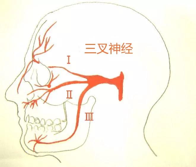 北京廣濟醫(yī)院怎么樣，三叉神經(jīng)痛會導(dǎo)致耳鳴嗎？