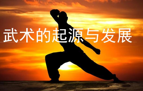 武術的發(fā)展和起源是怎么來的？武術可以鍛煉孩子什么？