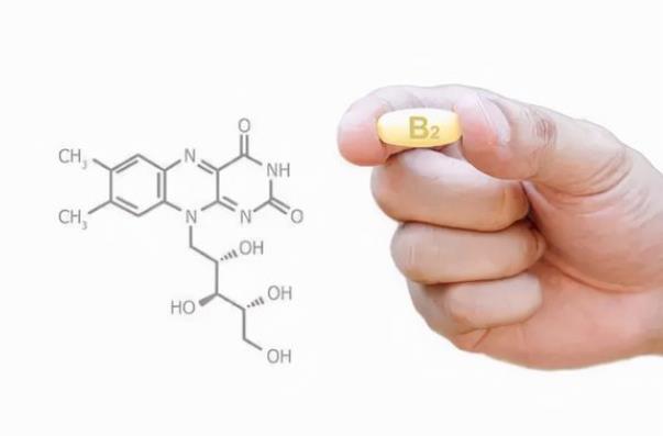 吃維生素B2可以預(yù)防心血管疾病嗎 促進細(xì)胞進行氧化還原