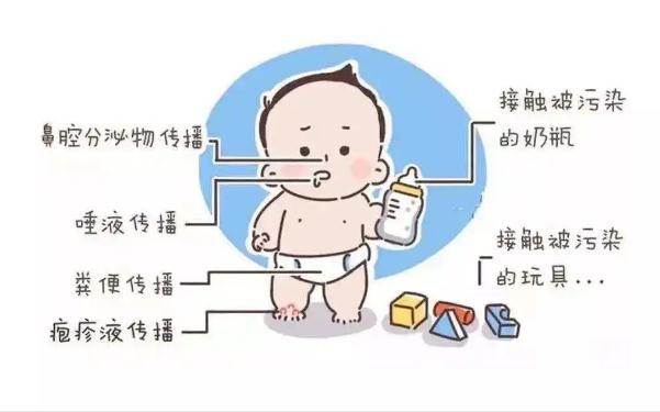 手足口病靠什么傳播途徑？手足口病怎樣預(yù)防？