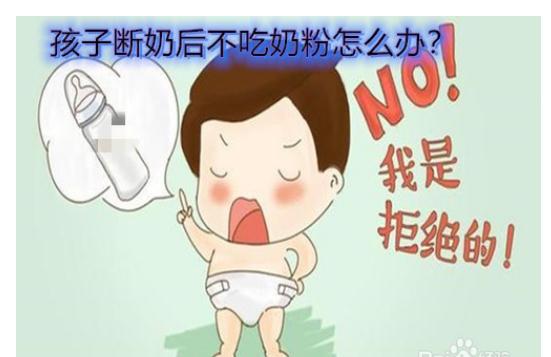 寶寶戒奶不喝奶粉怎么辦？接近母乳的奶粉有哪些？