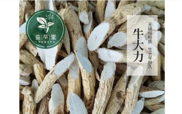 牛大力有什么功效與作用？哪些人群不宜食用牛大力？