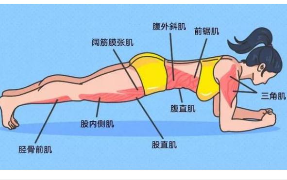 腰間盤突出能做平板支撐嗎？腰間盤突出適合哪些運(yùn)動(dòng)？