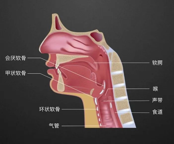 咽喉炎到底怎么回事？成都民生耳鼻喉醫(yī)院教你緩解嗓子疼！