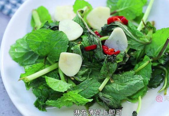 薄荷可以炒菜吃嗎？薄荷成分的食品為什么吃起來(lái)涼涼的？