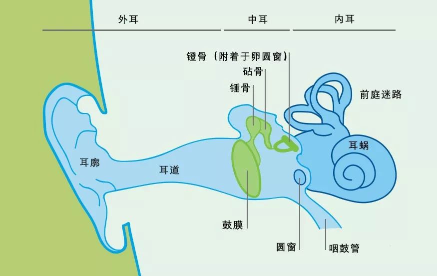 廣泛使用的藍(lán)牙耳機(jī)正在威脅你的耳朵健康嗎？