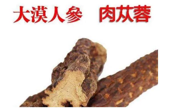 肉蓯蓉保質(zhì)期多久？新鮮肉蓯蓉怎樣清洗？