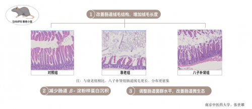 如何用中醫(yī)藥抗衰老？吳以嶺教授給出有效防治策略