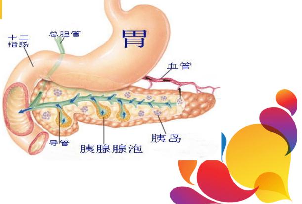 胰腺癌的癥狀有什么呢？胰腺癌造成的原因有什么呢？