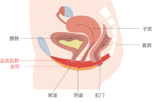 重慶女性做私密緊致除了手術(shù)還可以選擇哪些方式？