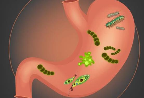 幽門螺桿菌感染會脹氣嗎 幽門螺桿菌感染胃會怎么樣