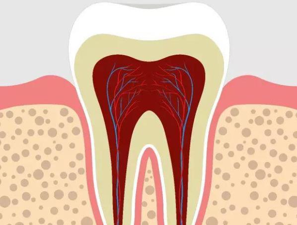 急性牙髓炎不治療會(huì)怎么樣 疼痛化膿發(fā)熱牙齒松動(dòng)影響飲食