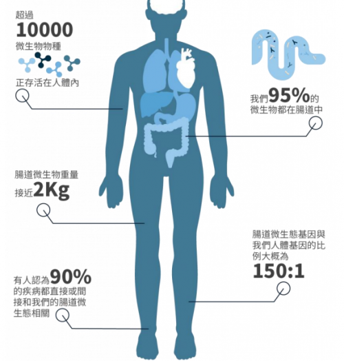 濕敏又有了新希望，PGut讓百億“益生菌”為你打工！